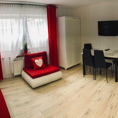 Apartament Jarzebinka ミエンジズドロイェ エクステリア 写真