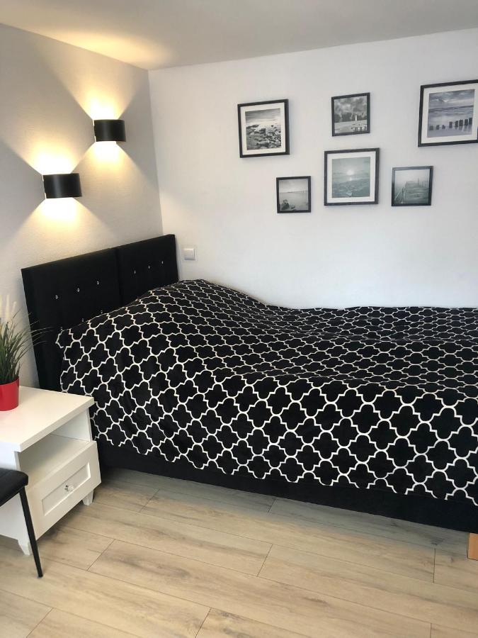 Apartament Jarzebinka ミエンジズドロイェ エクステリア 写真