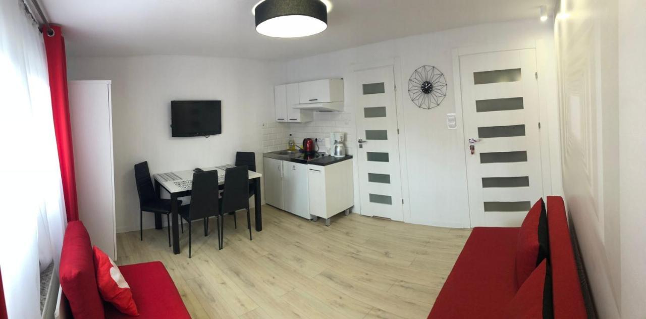 Apartament Jarzebinka ミエンジズドロイェ エクステリア 写真
